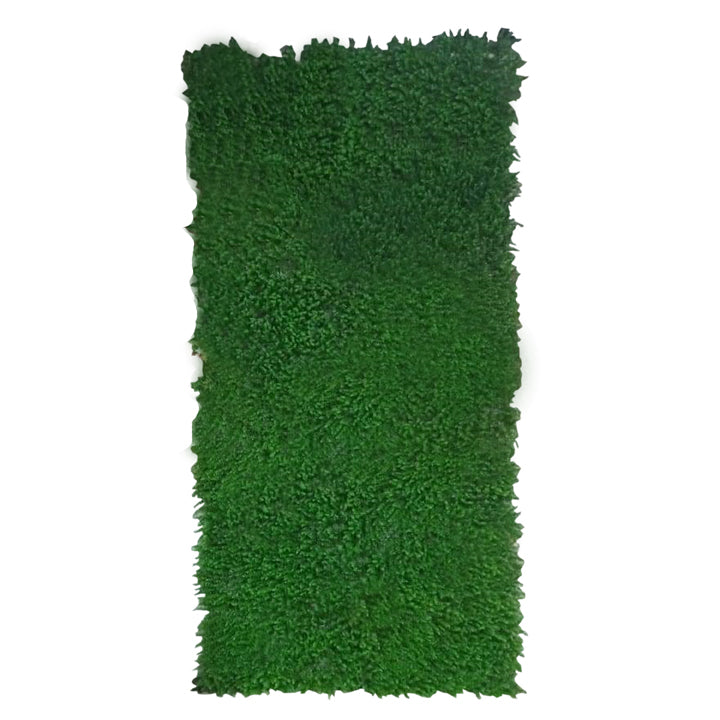 GREEN GRASS WALL PANEL GREEN COLOUR