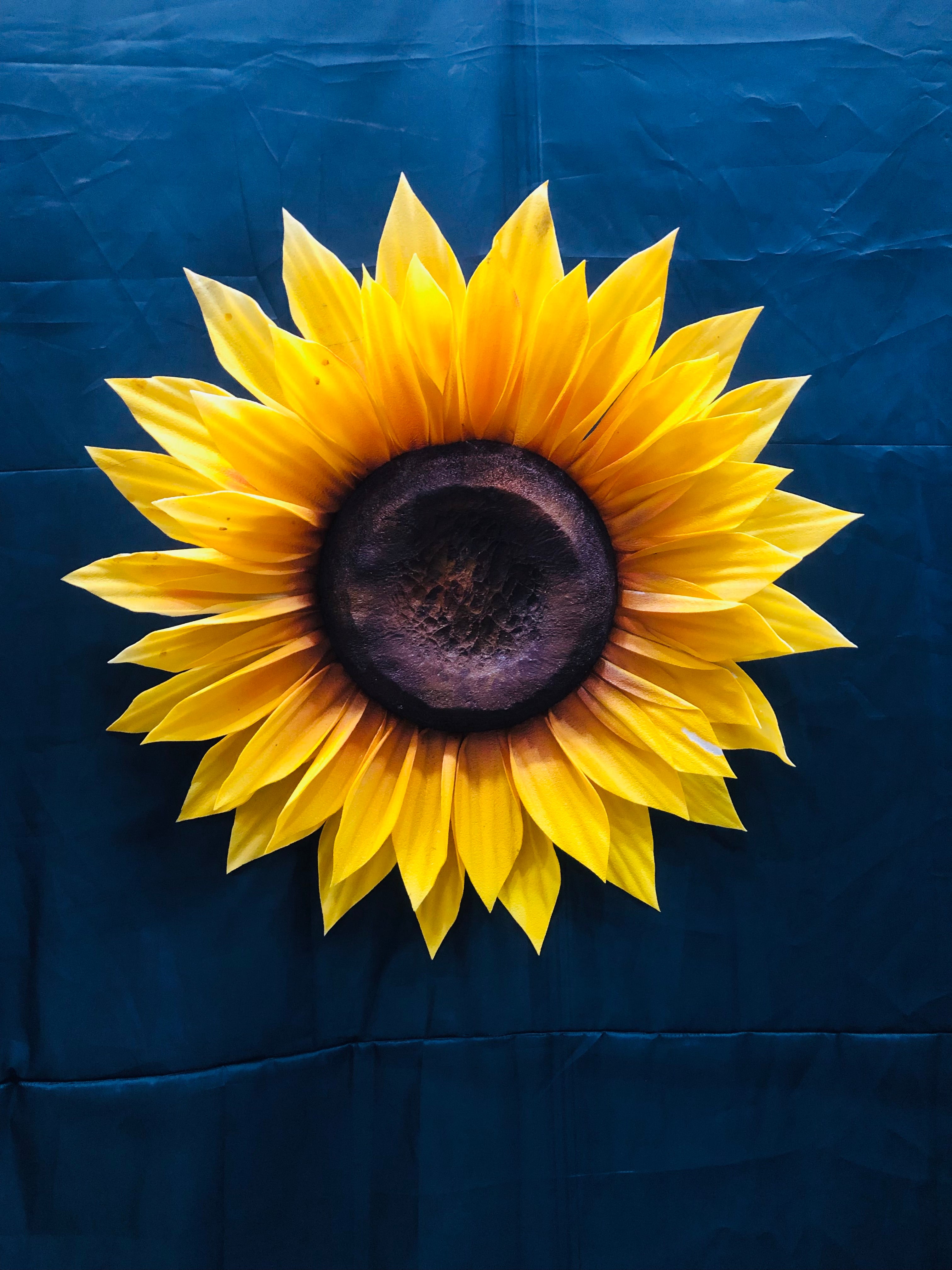 SUN FLOWER For HALDI DECOR