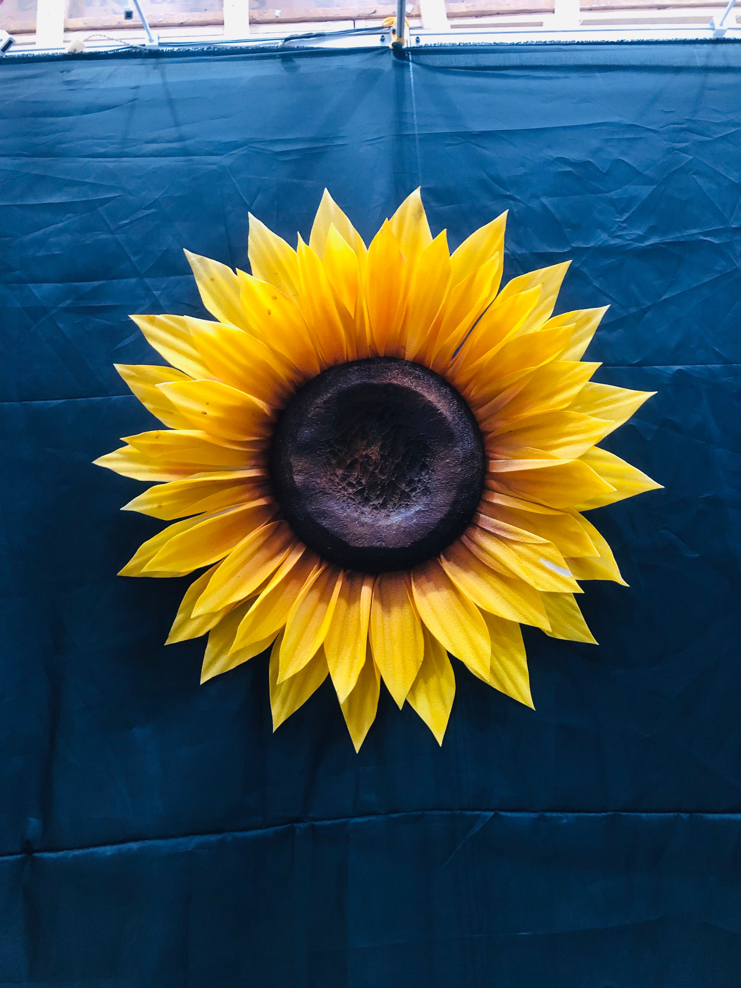SUN FLOWER For HALDI DECOR
