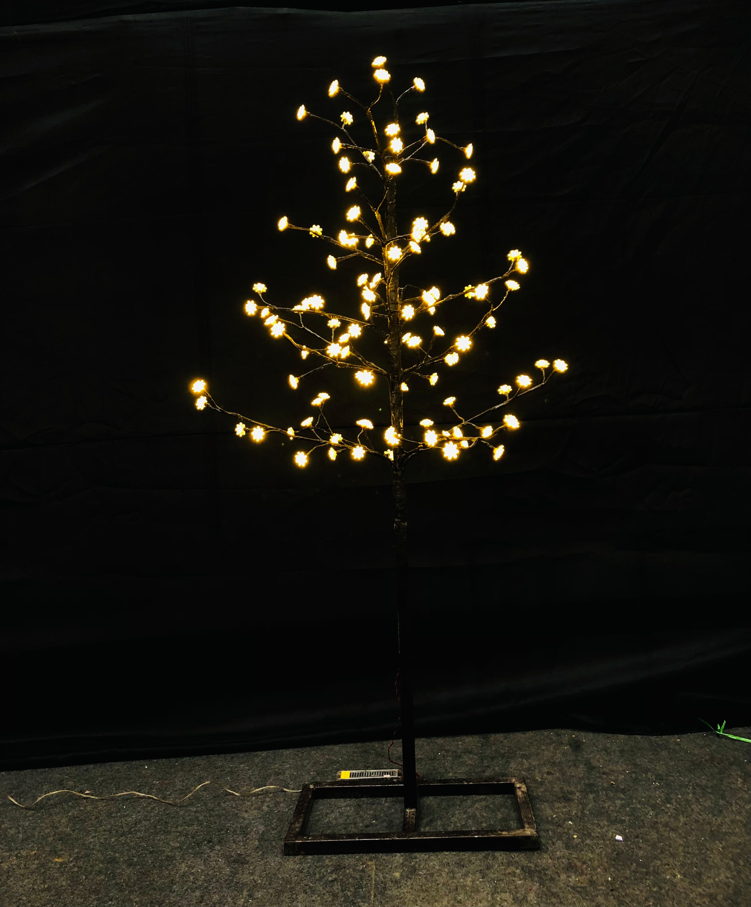 LIGHT TREE 5.5 Feet