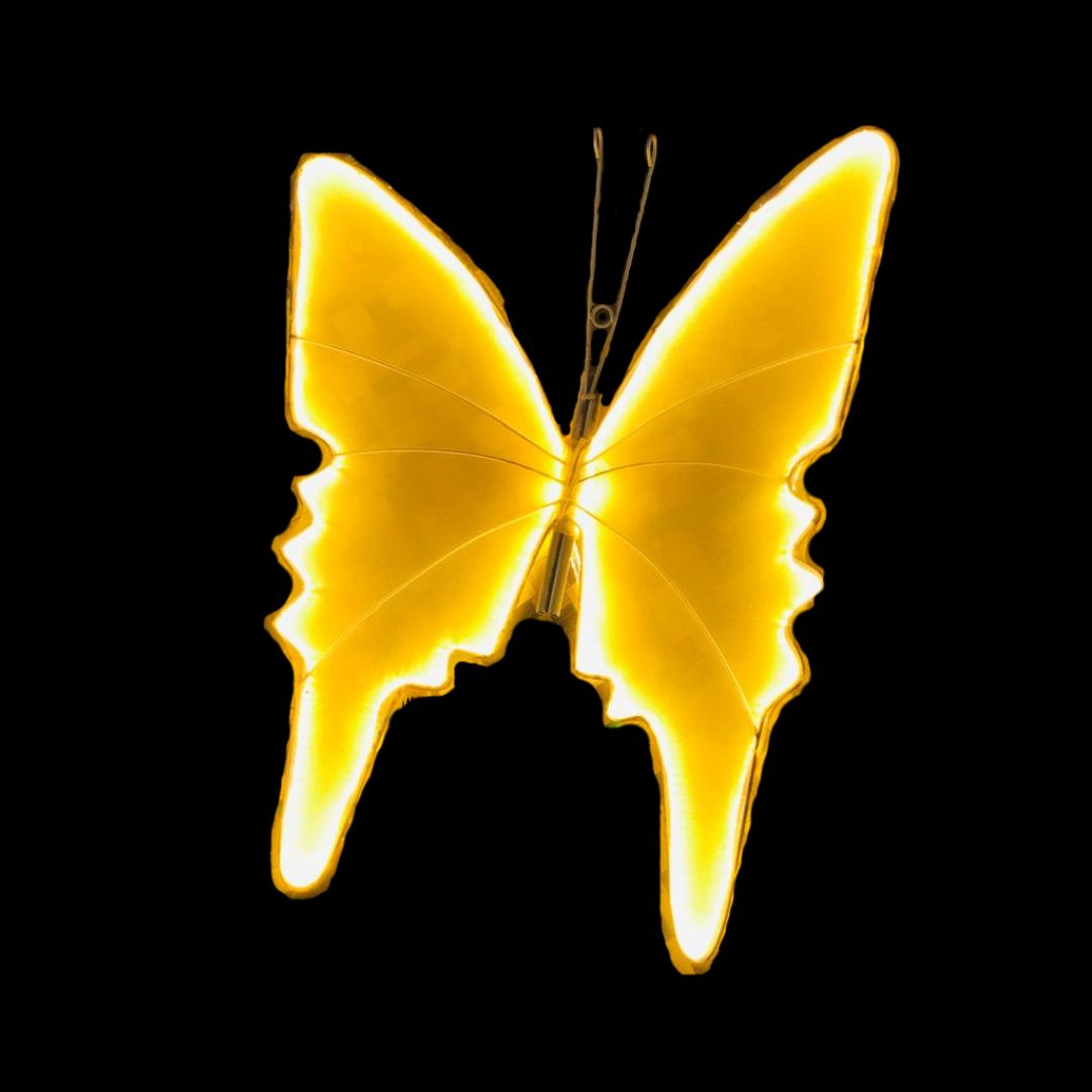 BUTTERFLY HANGING