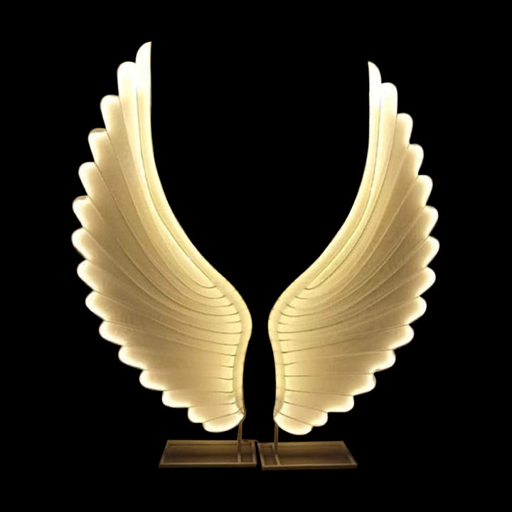 LED FETHER WING SELFY