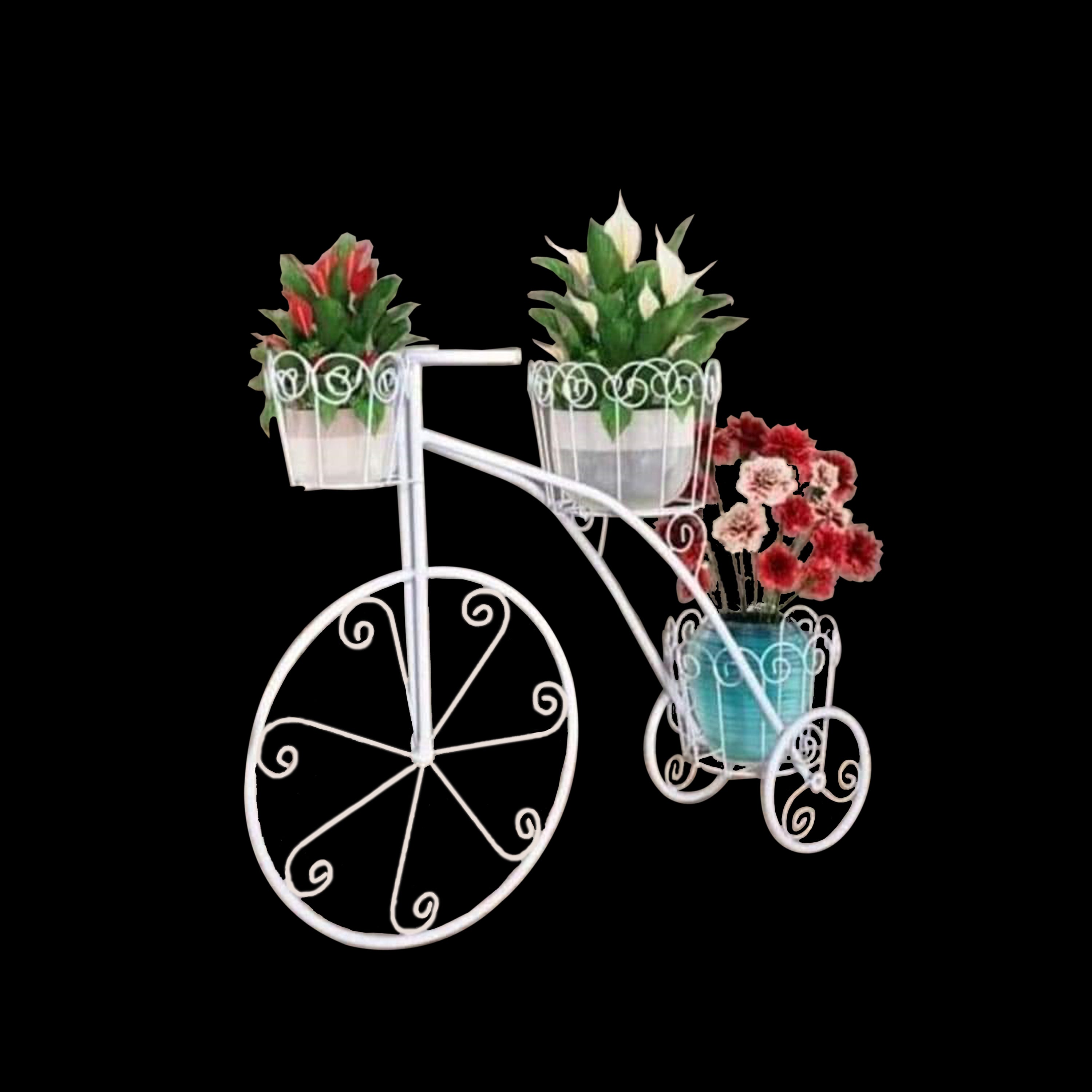 DISPLAY POT