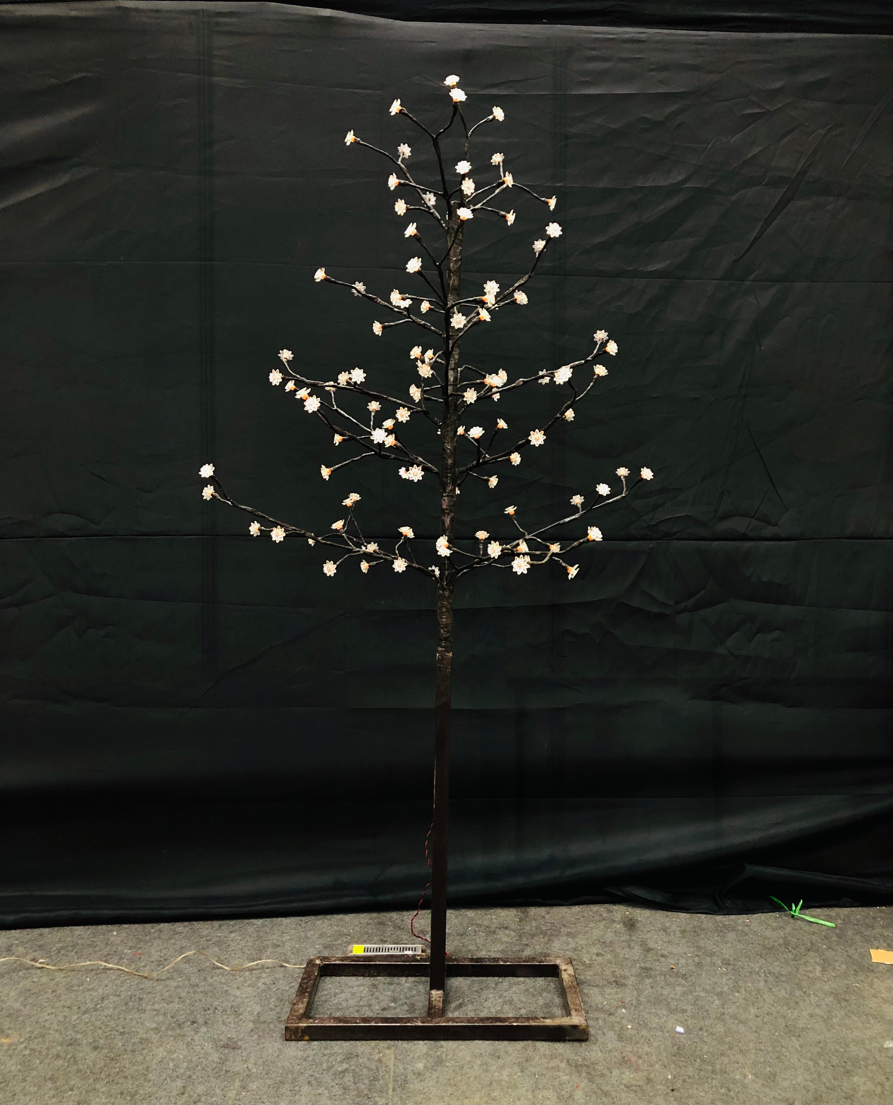 LIGHT TREE 5.5 Feet