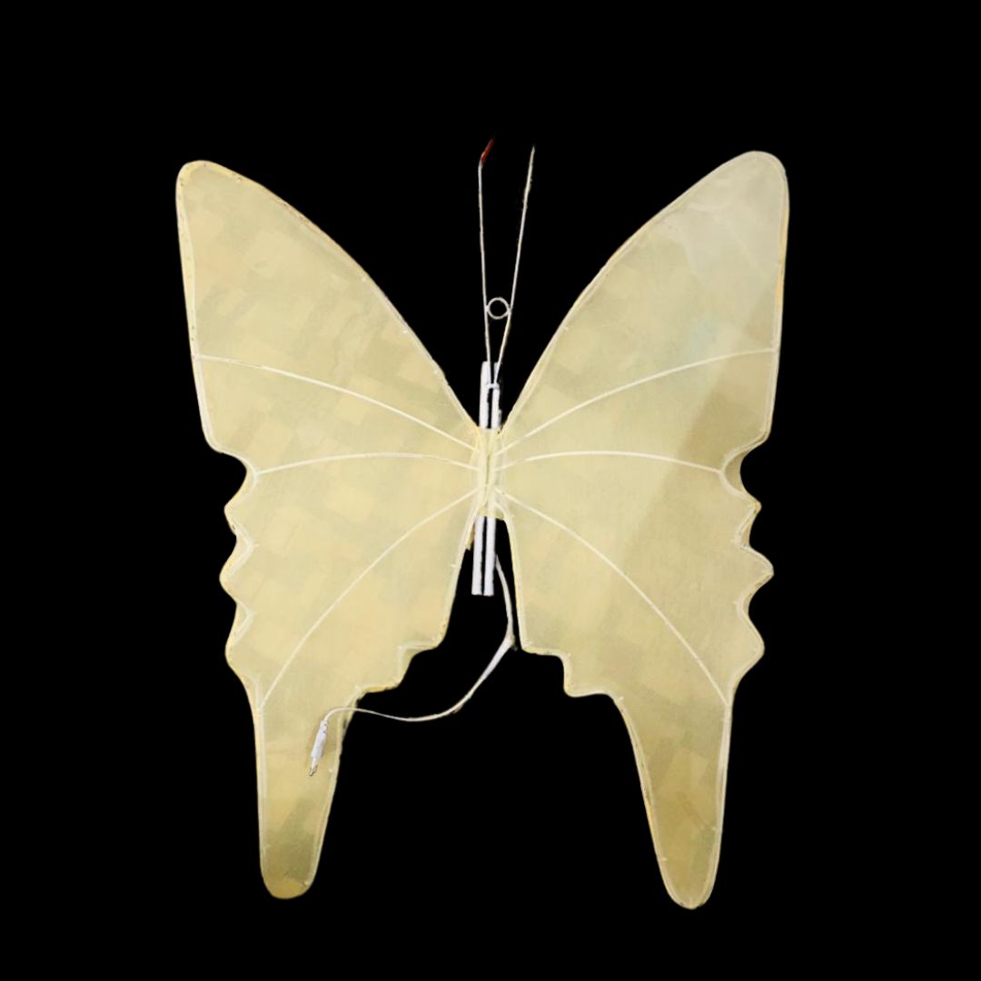 BUTTERFLY HANGING